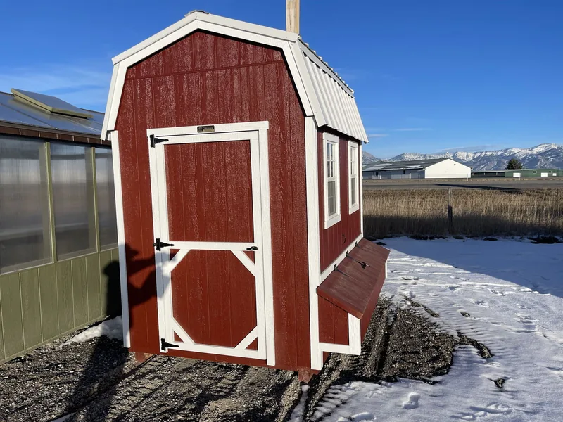 6x8 Hi-Side Chicken Coop Ã¢ÂÂ Belgrade MT